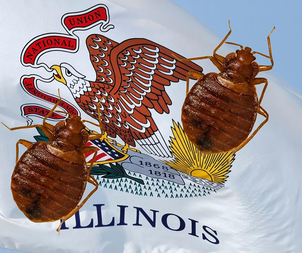 Bed Bugs Are Crawling This Fall Through These 2 Illinois Cities