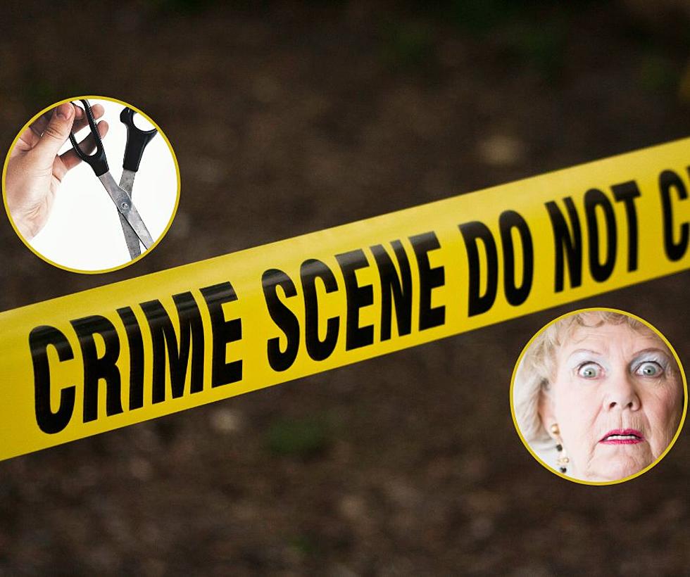 You’ll Never Believe Who Stabbed IL Grandma In Head With Scissors