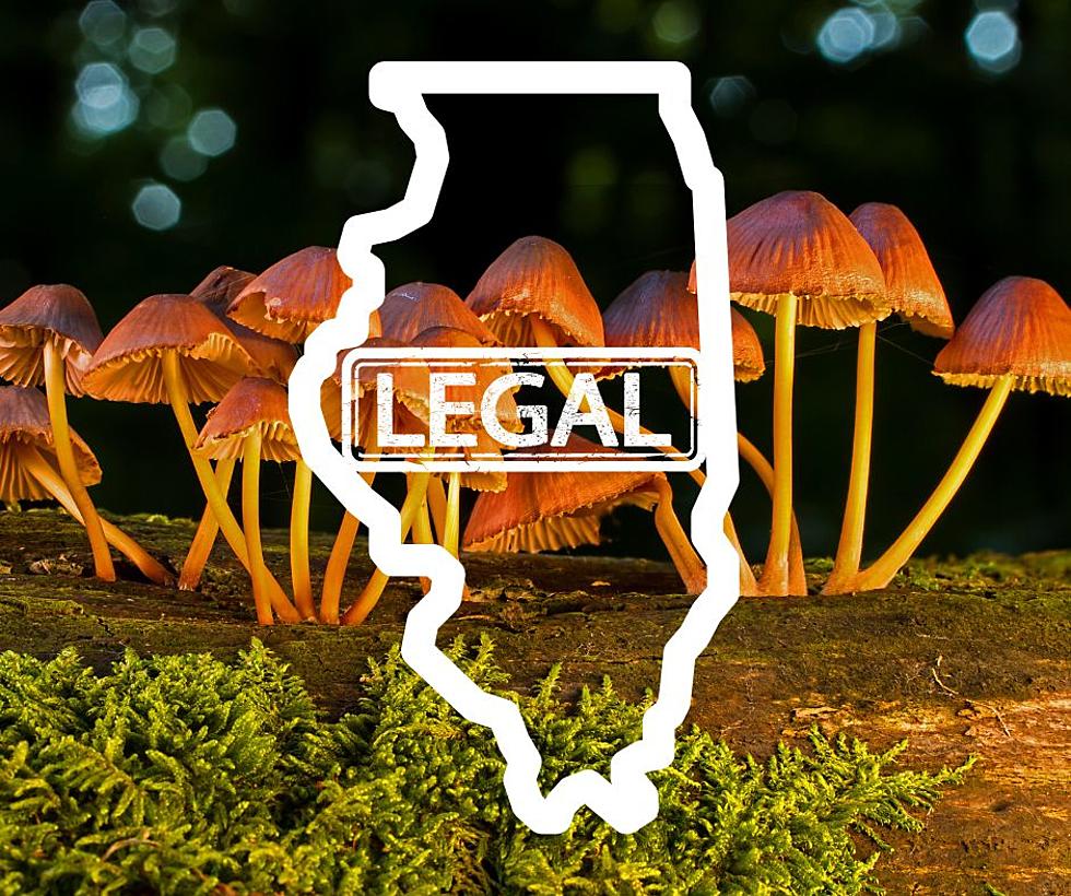 First it Was Marijuana, Could Magic Mushrooms be Legal in Illinois in 2023?