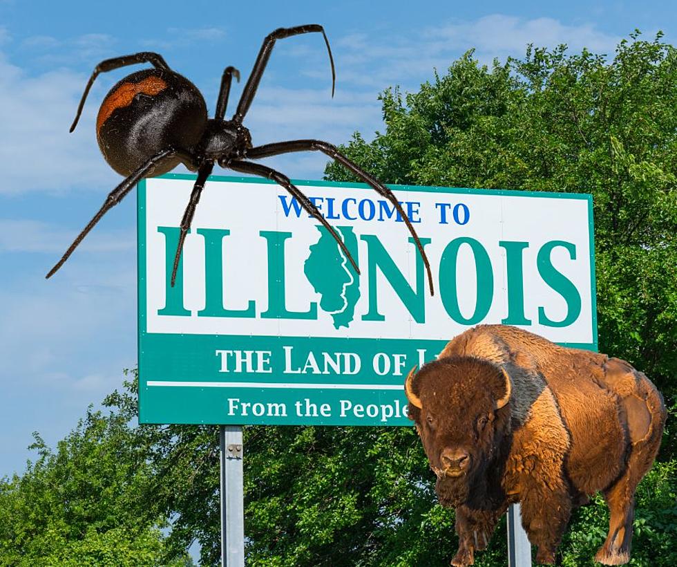 These 6 Illinois &#8216;Summer Creatures&#8217; Are Not Nice
