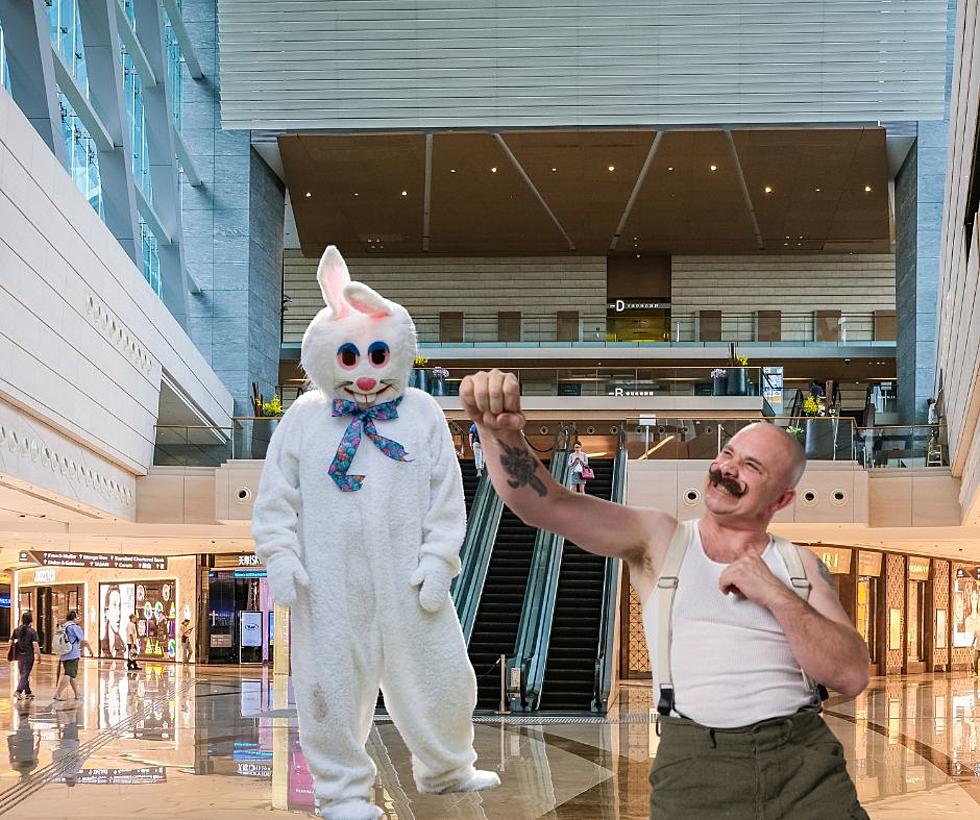 Wisconsin Bully Beat up a Mall Easter Bunny For Fun