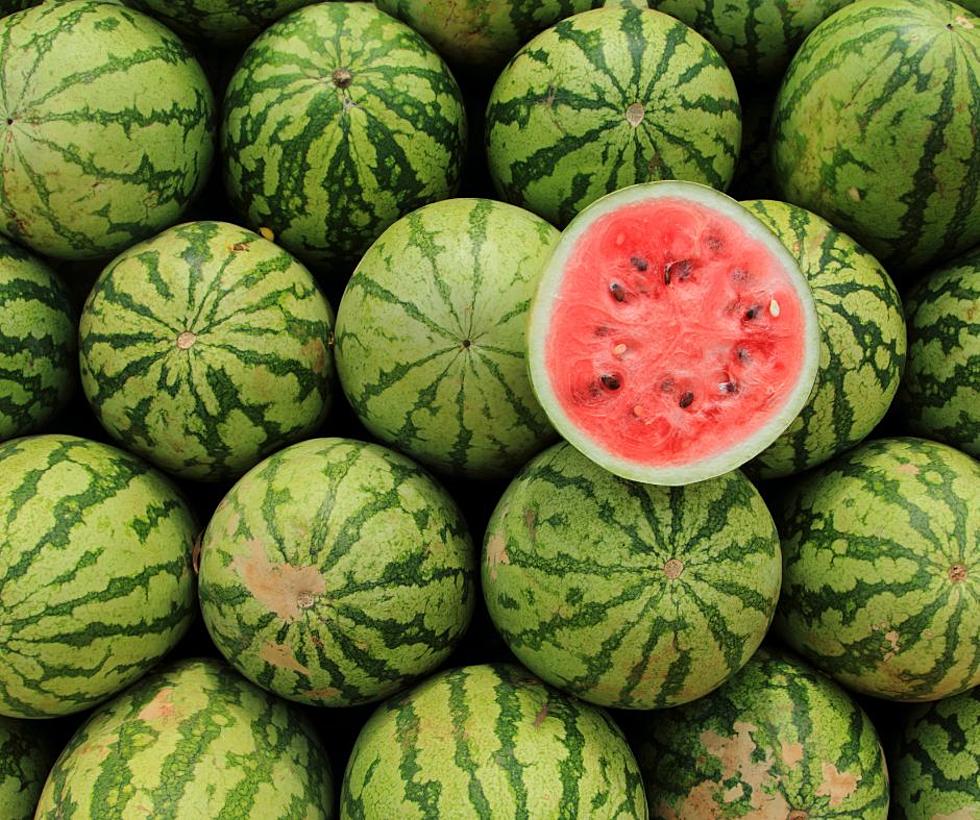 Warning, Illinois! If Your Watermelon is Foaming, That’s Really Dangerous