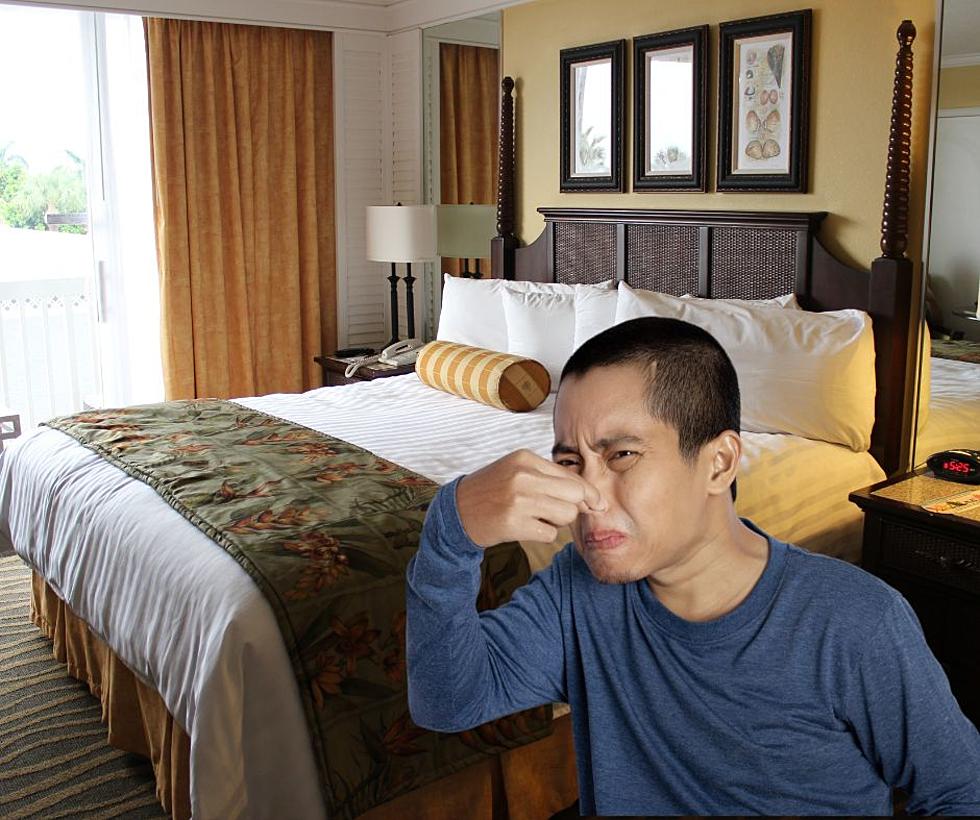 Stinky Illinois Tripadvisor Hotel Review, ‘Not a Smell I Like’