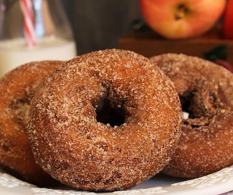 YUMMY! It's Apple Donut Season, 10 Tasty Choices In Illinois