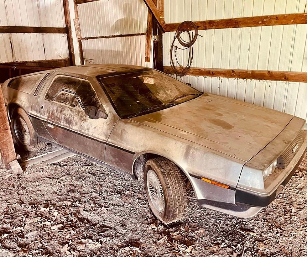 Illinois Man Goes Back To The Future To Find Car Of His Dreams