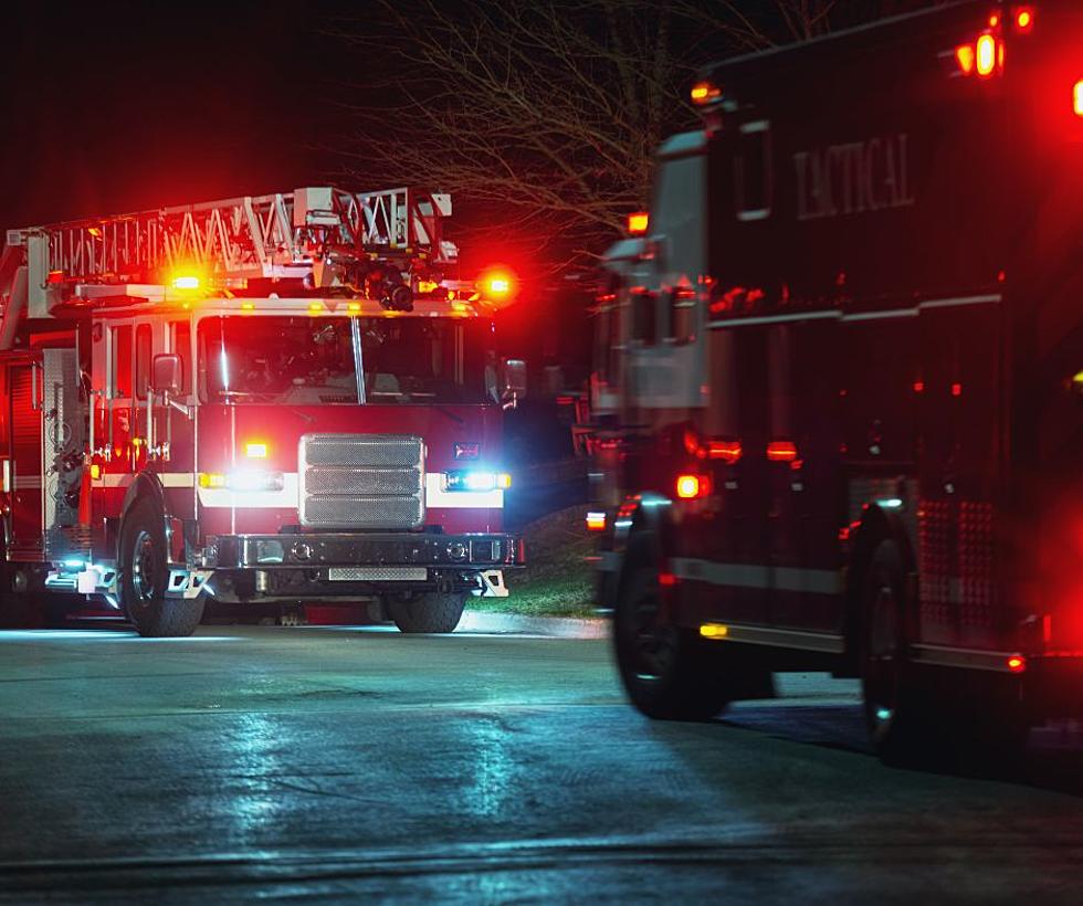 Zoo Fire Heroes Save Gigantic Animal in Illinois