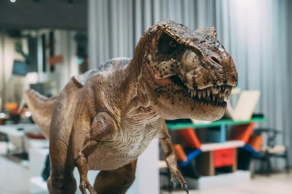 The 8 Best Places To See Dinosaurs In Illinois And Wisconsin