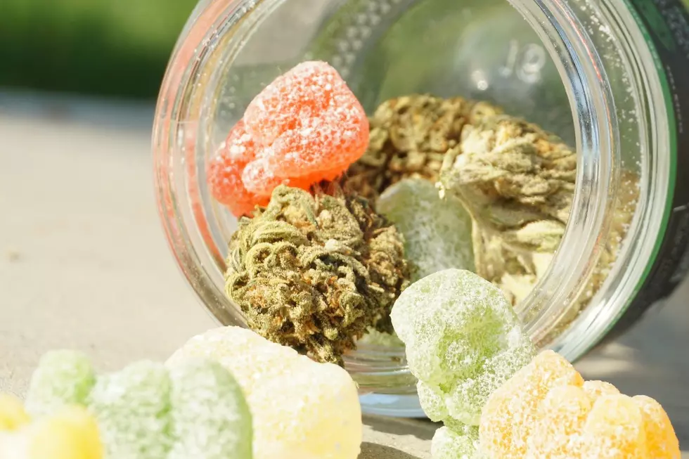 Illinois Students Learn Hard Lesson About Cannabis Edibles