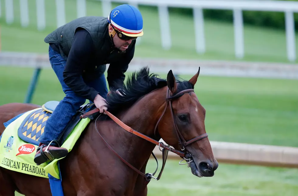 Picking A Winner For The Kentucky Derby [VIDEO]