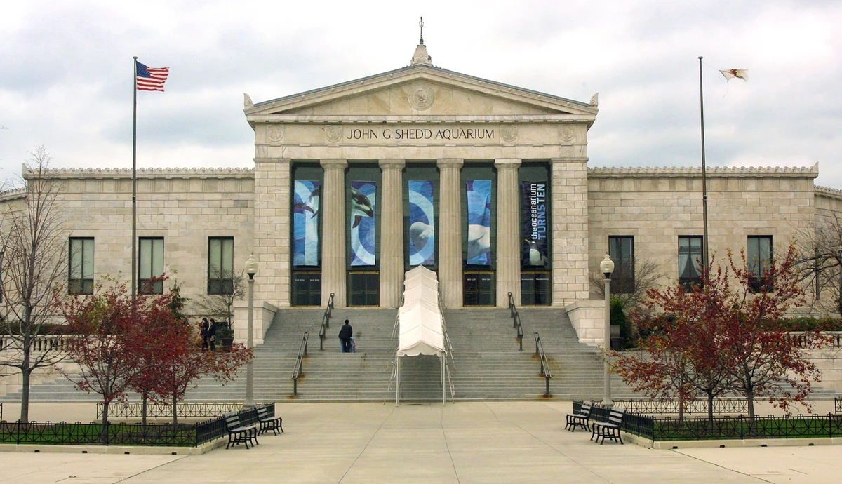 Shedd Aquarium Free Days September 2022