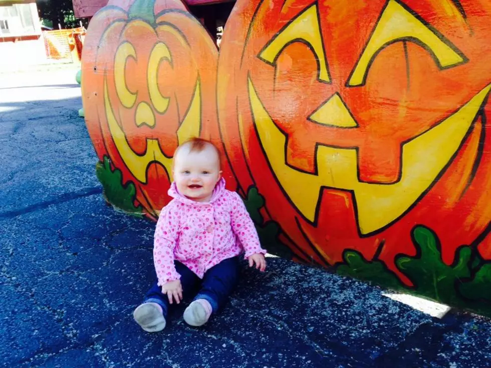 The Pumpkin Patch in Caledonia Under New Ownership This Fall