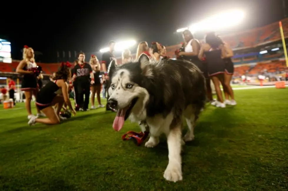 NIU&#8217;s Former Mascot Passes Away