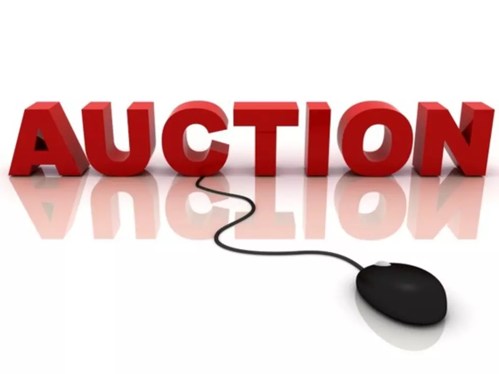 Illinois Treasurer’s Office is Holding an Auction this Week