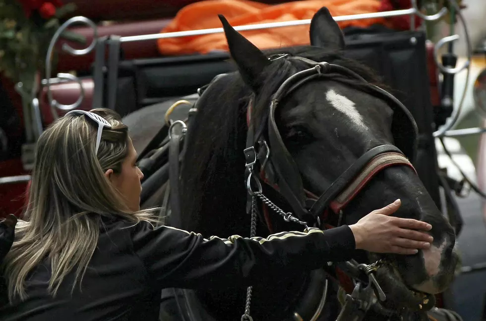 Free Carriage Rides Every Weekend