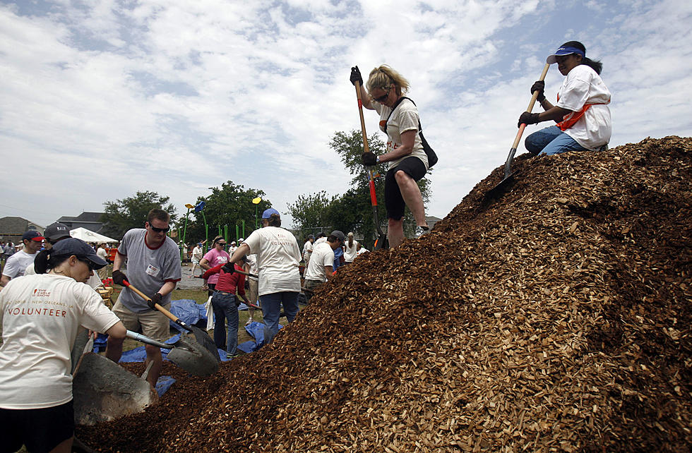 Get Free Mulch In February