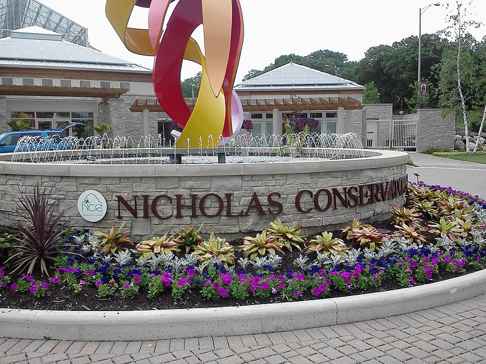 Take Mom to the Nicholas Conservatory’s Tea Party for Mother’s Day