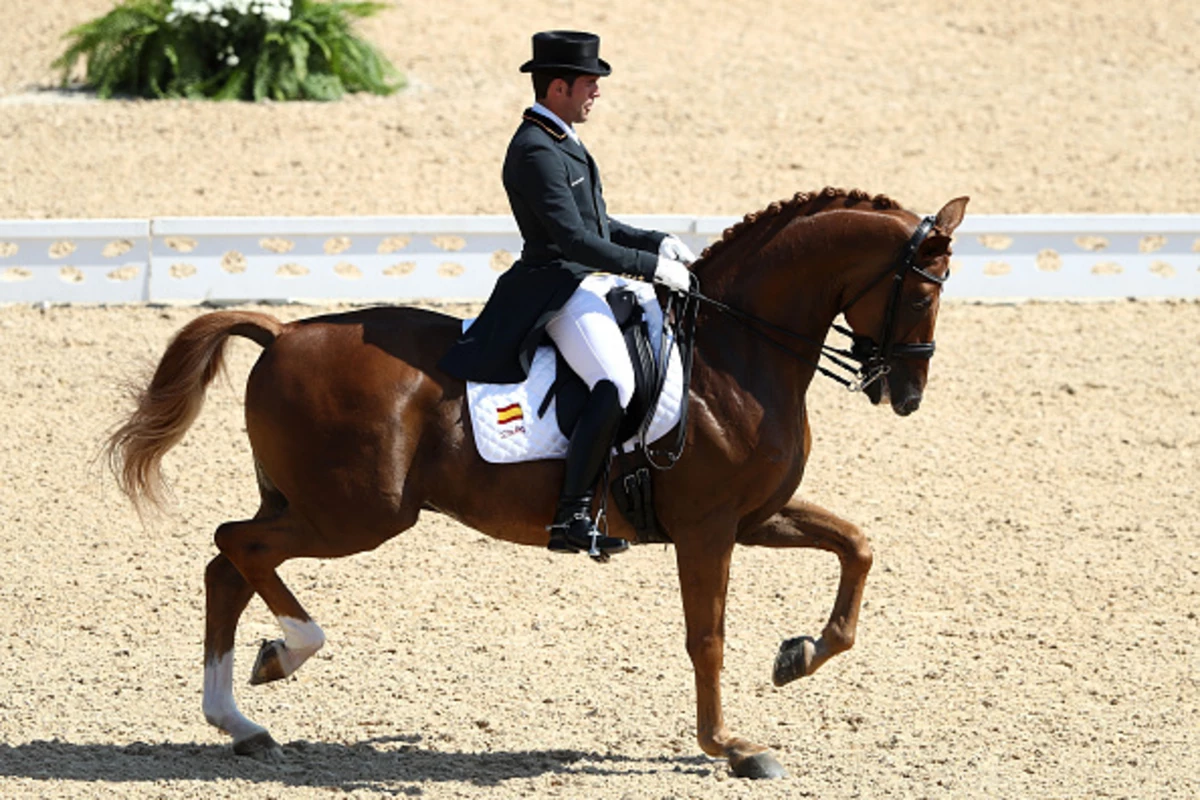 Olympic Horse Dances to Santana