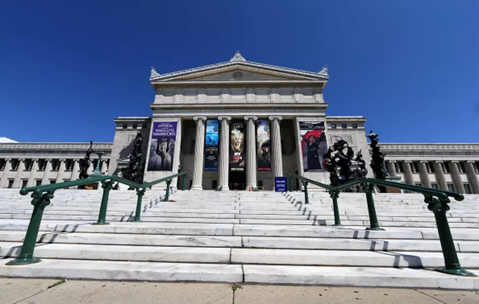Field Museum In Chicago Offering Free Admission All Month