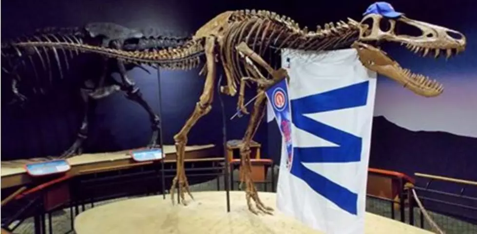 Rockford’s “Jane The Dinosaur” Gets Into The Cubs Spirit