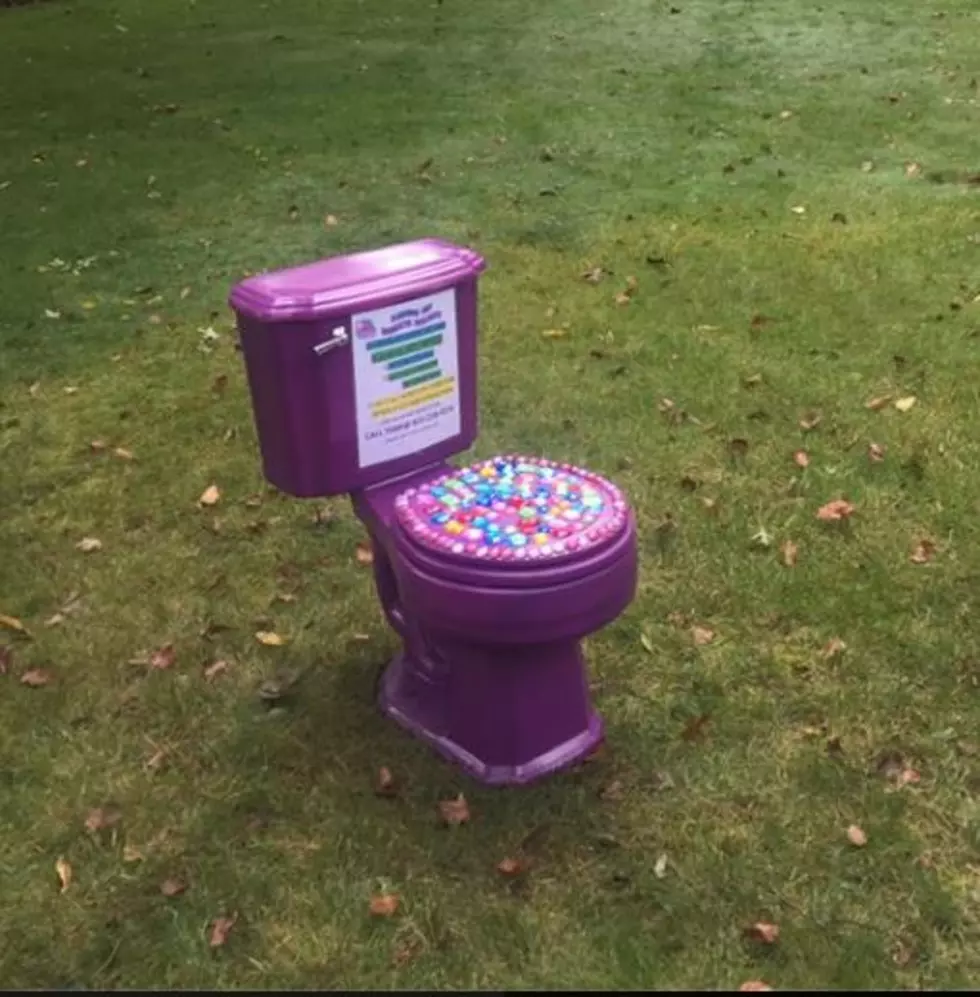 See A Purple Toilet In Rockford? Return To The Police
