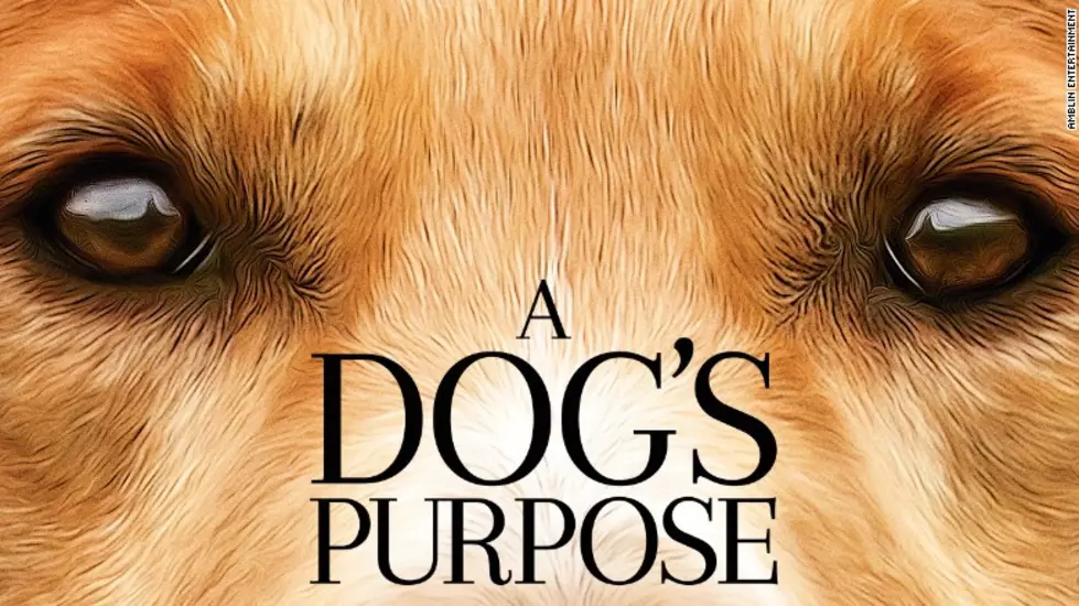 Illinois Humane Society Cancels ‘A Dog’s Purpose’ Screening