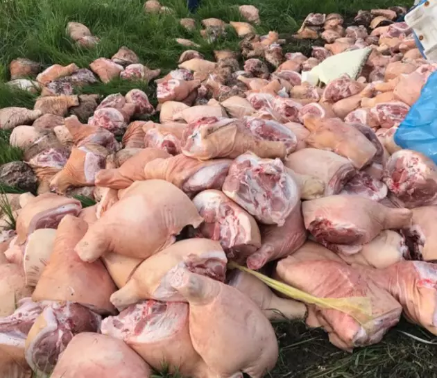 How Did All This Pork End Up on the Side of the Road in Kirkland?
