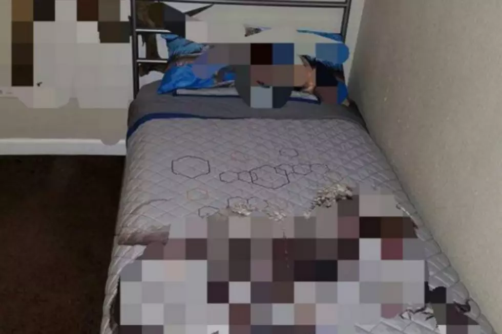 Bed For Sale In Rockford Raises Many Questions [PHOTO]