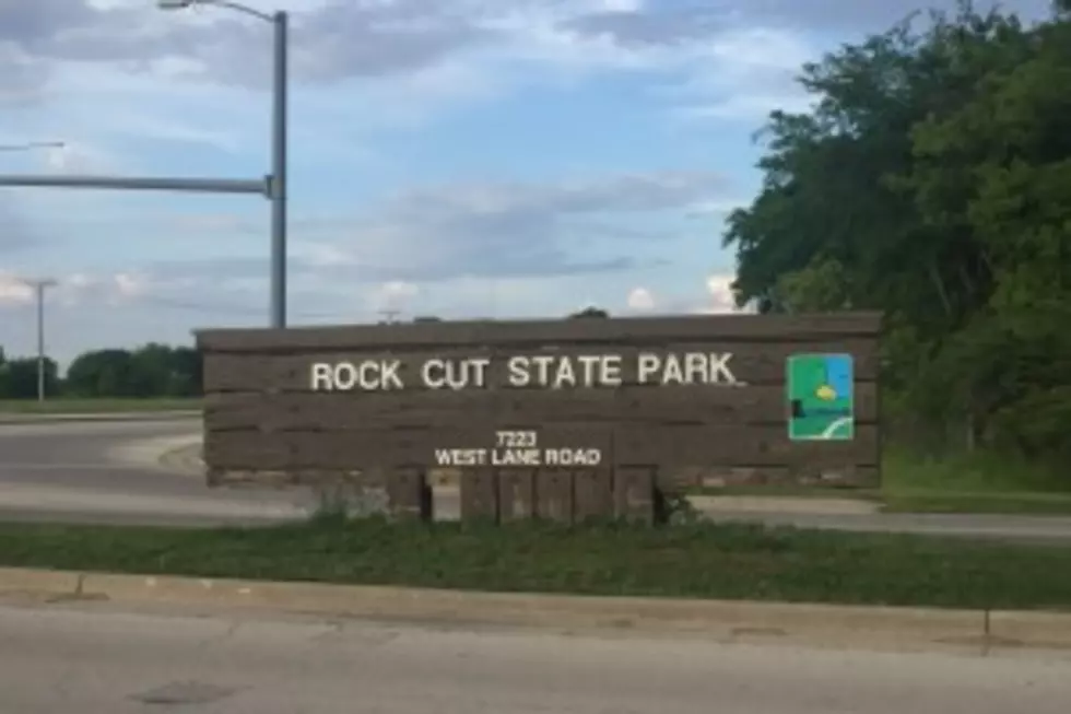 Beware of the Large Snapping Turtle Spotted At Rock Cut State Park