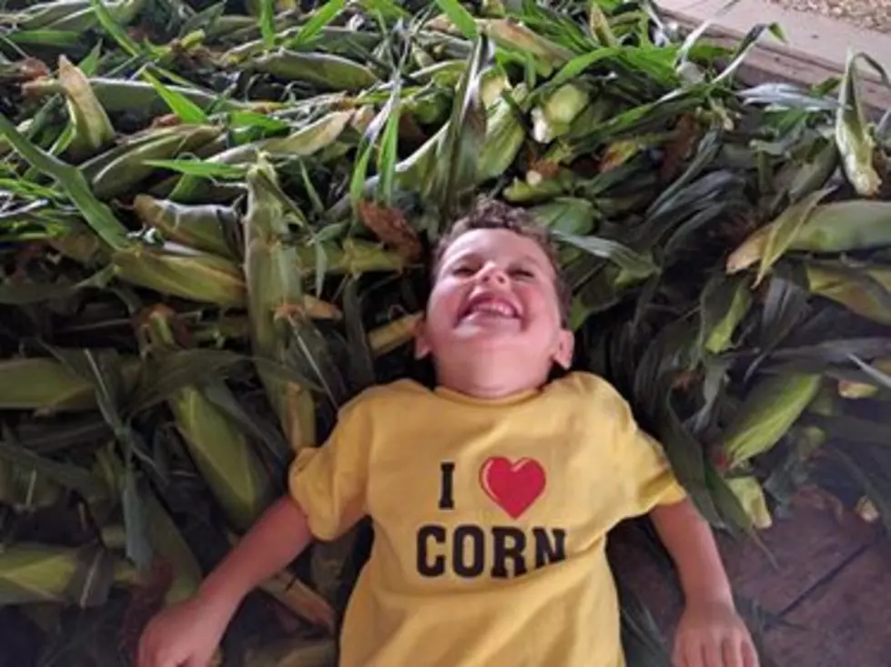 Top 12 Places to Get Sweet Corn In Northern Illinois For 2017