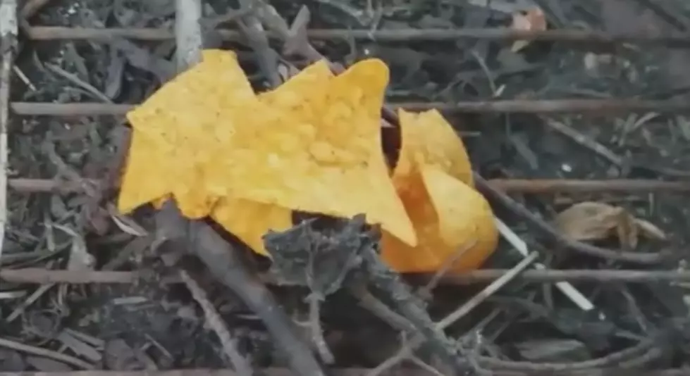 How To Start a Fire Using Doritos: Does This Work? [Video]