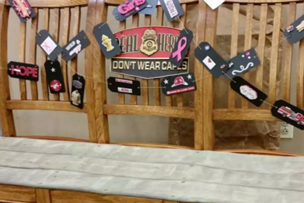 This Bench Featured At Rockford Cancer Awareness Party Is A Must-Have