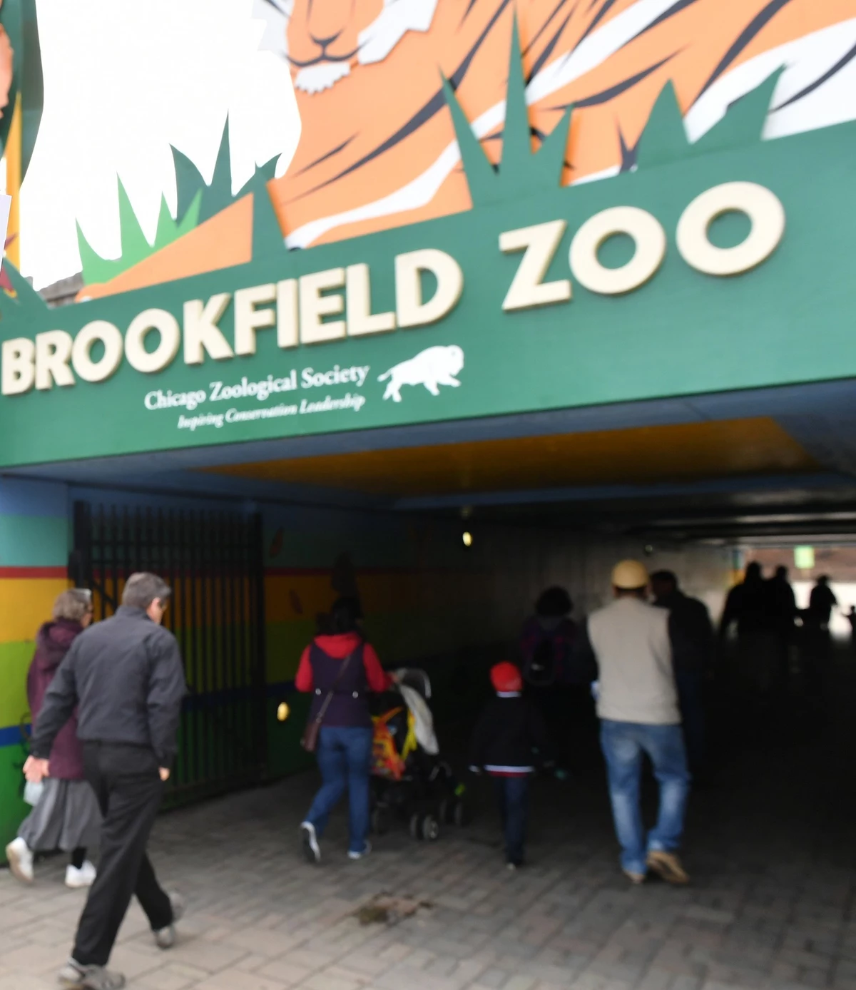 Visit Brookfield Zoo On These Days For The Cost Of Parking