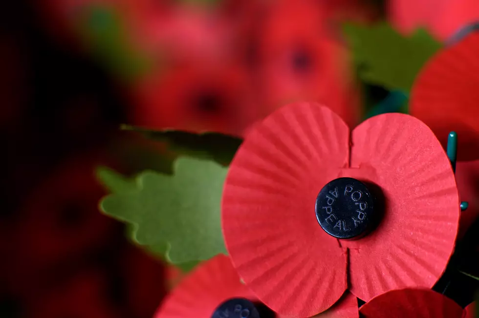 Poppies On Display At This Illinois WW1 Museum