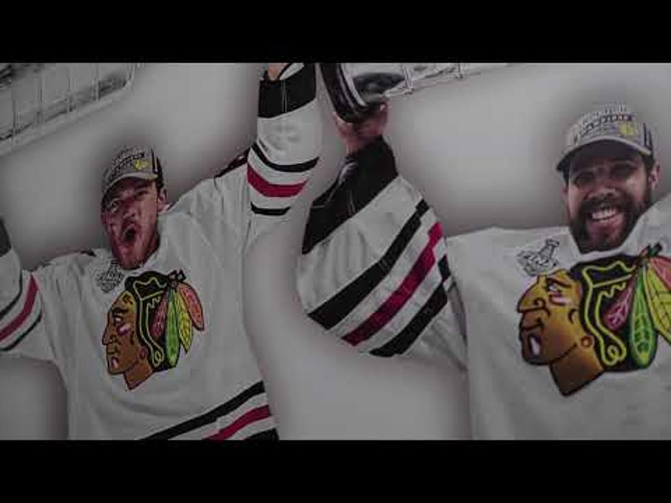 The Rockford IceHogs: Our Town, Our Team, Our Time