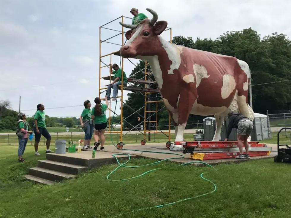 Rockford Sharefest Needs Volunteers to Help Revamp Lockwood Park