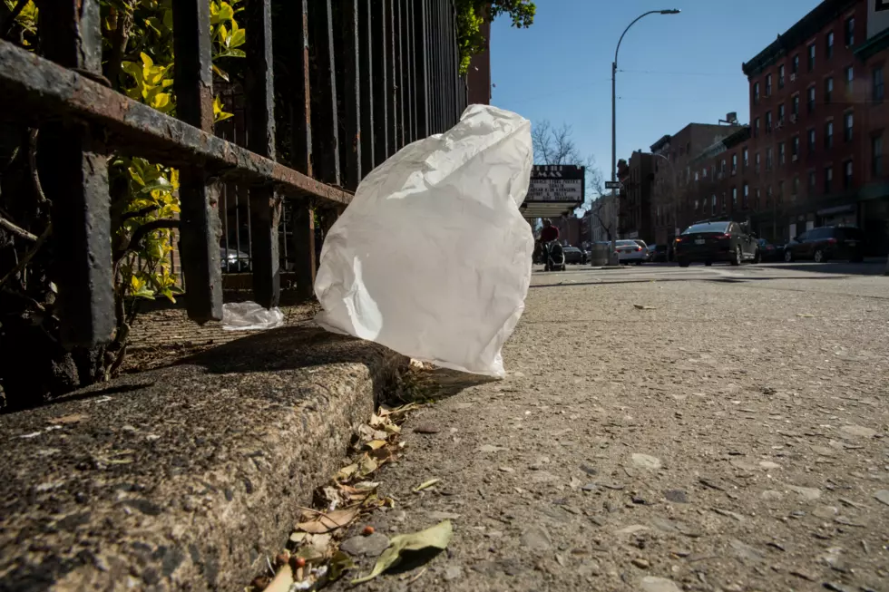 Plastic Bag Ban Pitched For Winnebago County