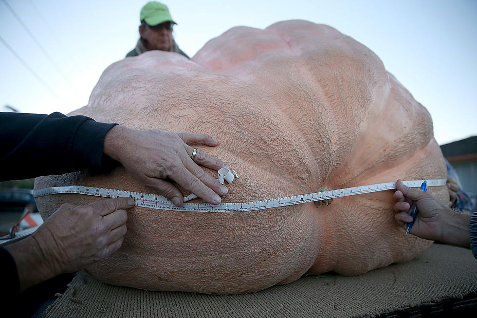 The Story of The Largest Pumpkin to Ever Come Out of Illinois