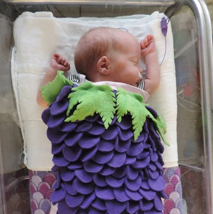 grape costume baby