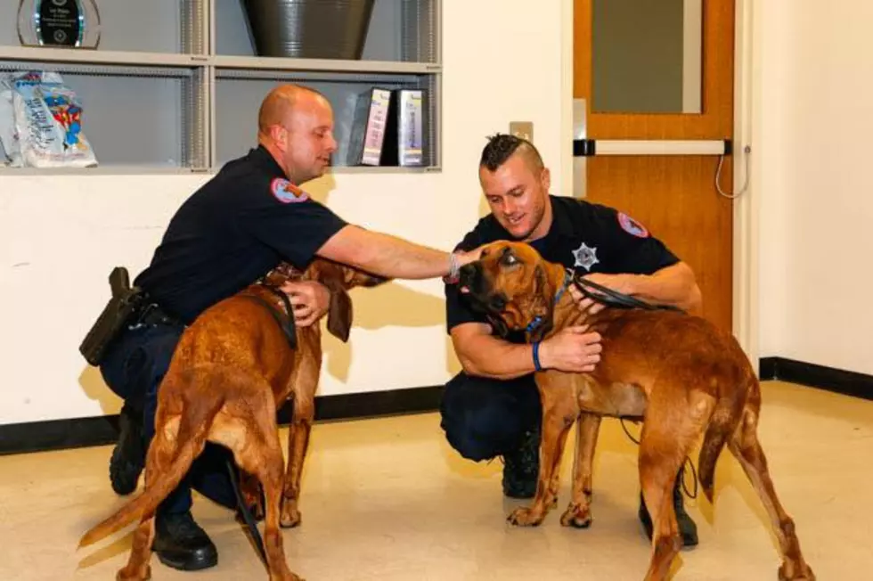 Winnebago County Receives 2 K-9’s Thanks to Anonymous Donation