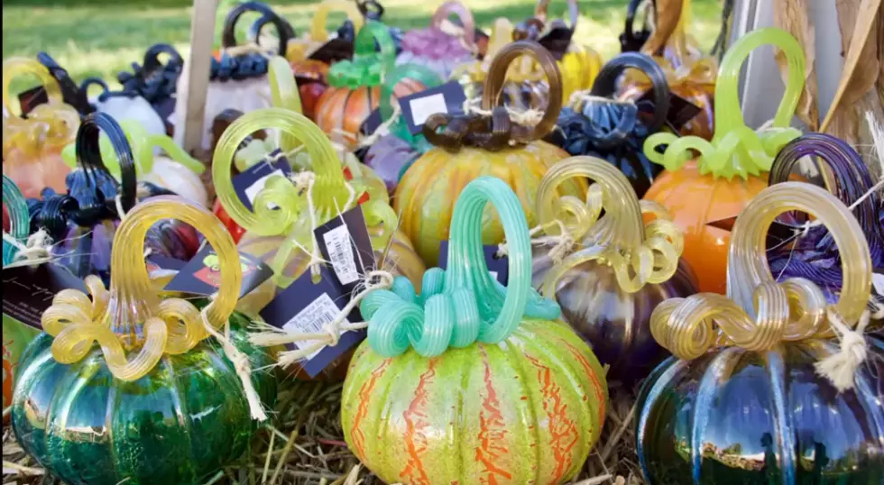 This Pumpkin Patch Features Unusual Pumpkins You Just Have To See