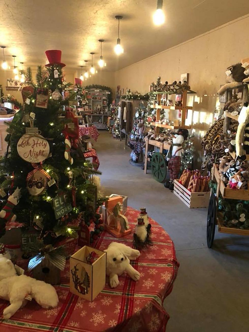 Look Inside the New Christmas Town at Summerfield Zoo