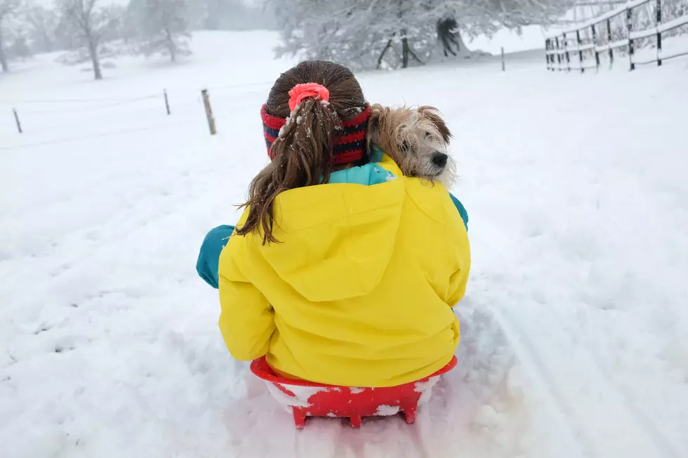 The Best Spots to go Sledding in Rockford