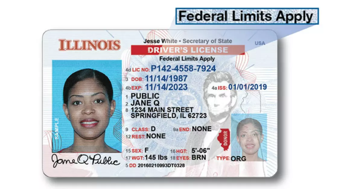 Illinois Secretary Of State Drivers License Status Phone Number