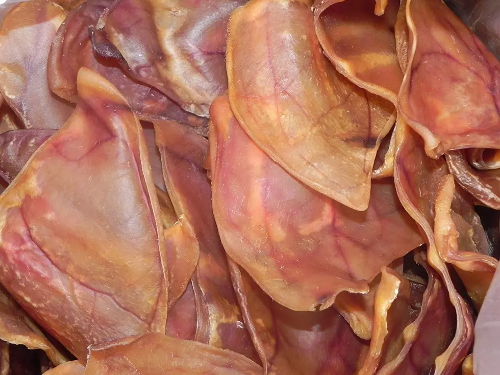 Salmonella Outbreak In IL Linked to Handling Pig Ear Dog Treats