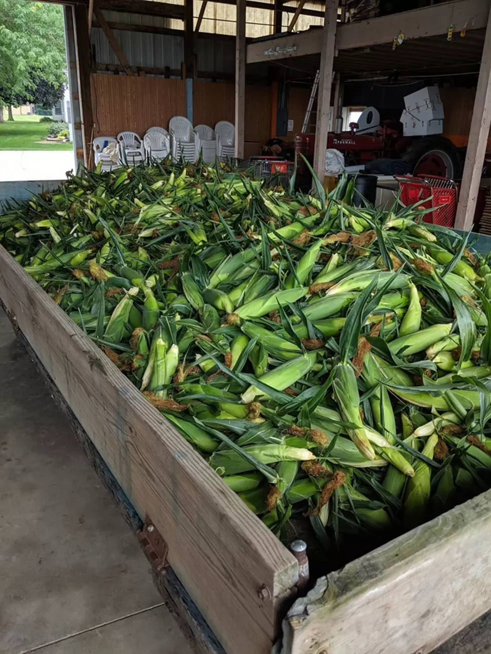 Best Locally Grown Sweet Corn of 2019