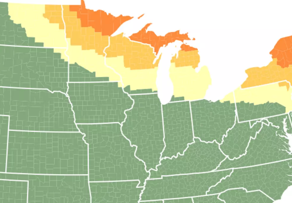 Fall Foliage 2019