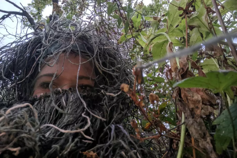 Madison Woman Dresses As A  Bush To Snag Vid of Sister's Engageme