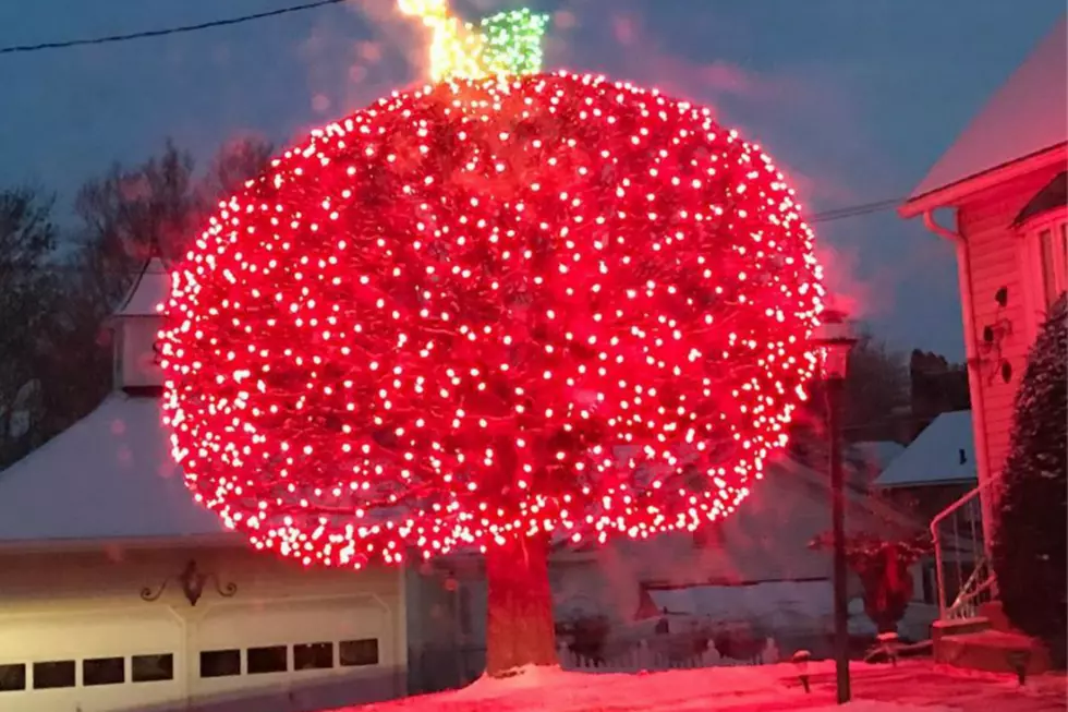 You Can Find The Most Magical Christmas Display in Freeport