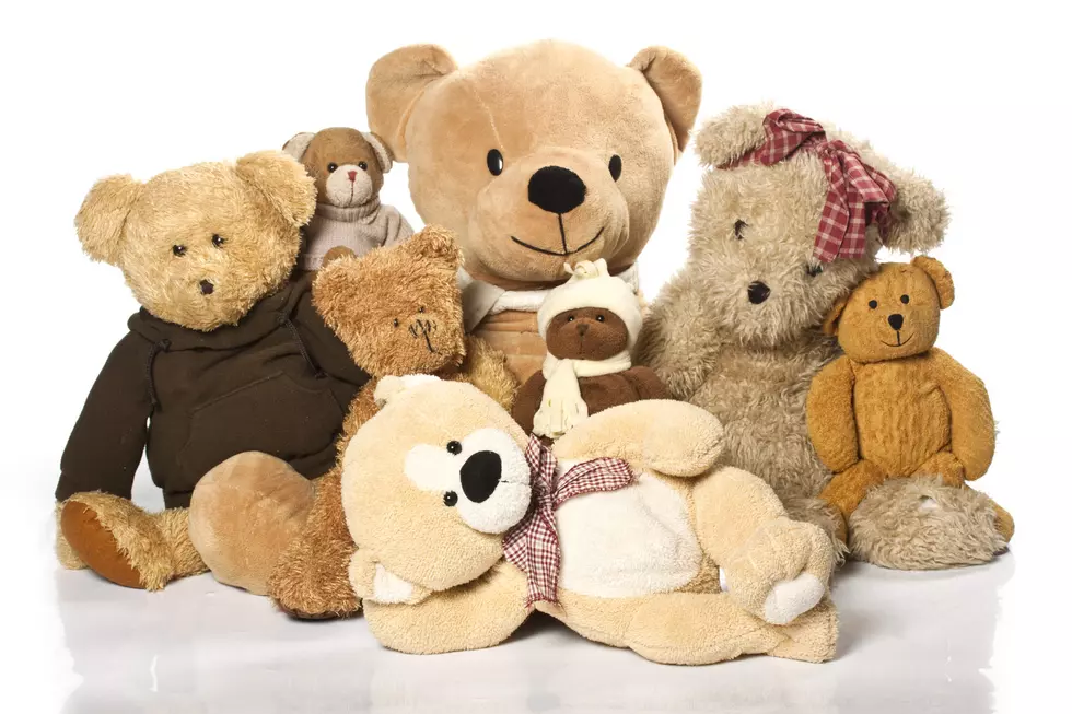 1,200 Teddy Bears Needed Sick Kids In Rockford Hospitals