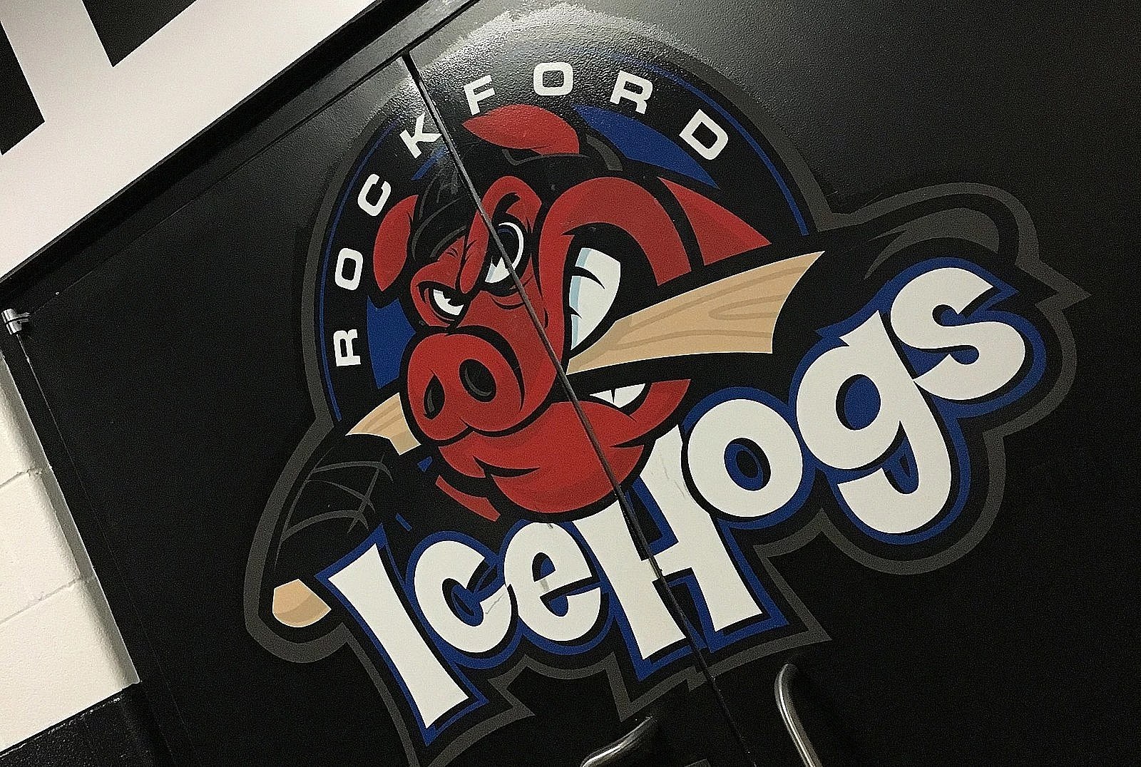 Rockford Icehogs  Rockford's American Hockey League Team